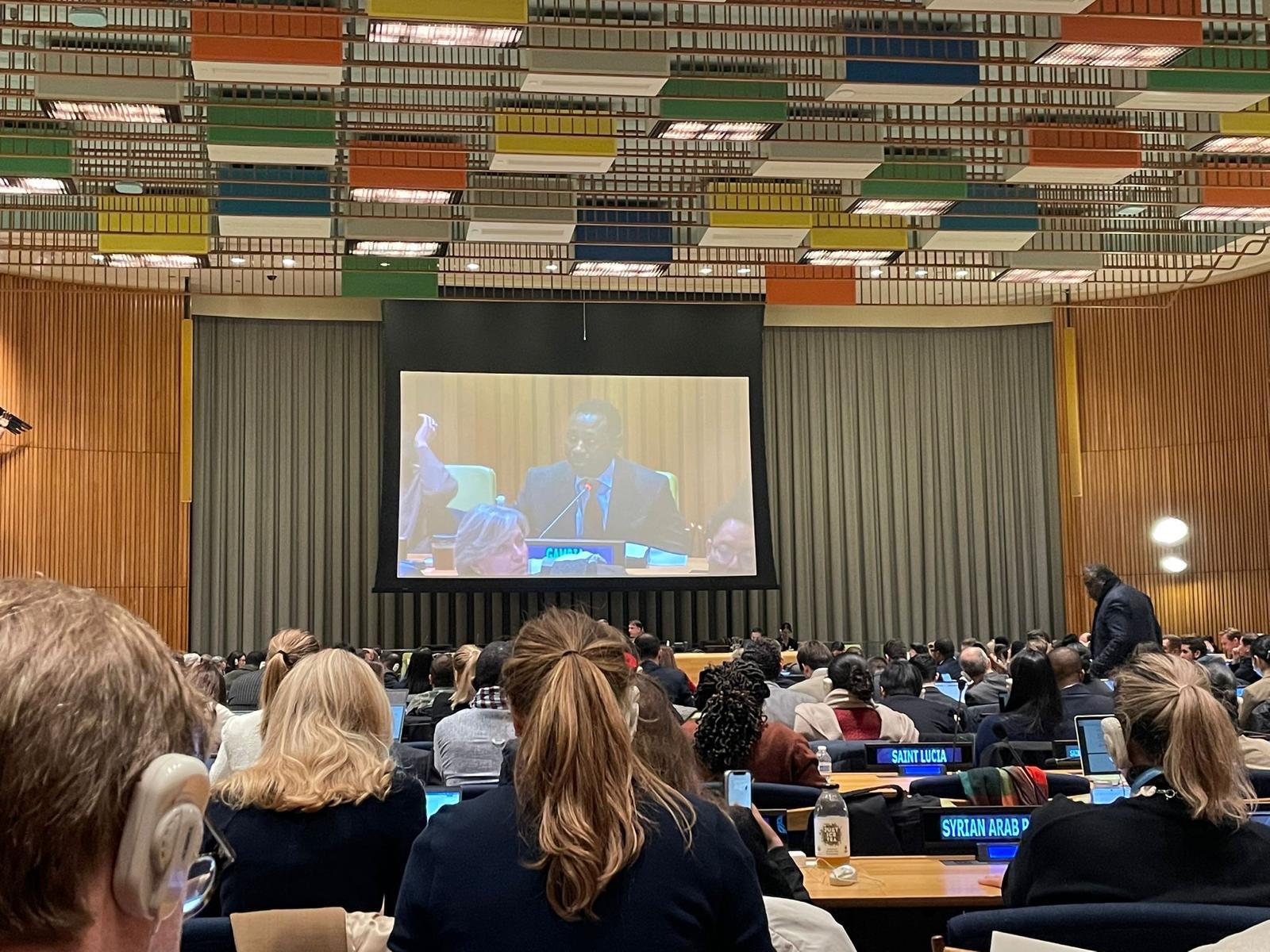 Building a Better Gambia: Our Vision for National Development